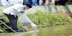 Wakil Gubernur Jawa Barat Uu Ruzhanul Ulum menebar 100.000 benih ikan di Sungai Surakatiga dalam kunjungan ke Pondok Pesantren Syamsul Huda, di Kelurahan Windusengkahan, Kecamatan Kuningan, Kabupaten Kuningan, Sabtu (25/9/2021). Restoking benih ikan bersama Santri Tani Indonesia (Santani) merupakan bagian upaya Pemda Provinsi Jawa Barat menjaga ekosistem alam agar tetap dapat dimanfaatkan masyarakat sekitar. "Kegiatan ini tebar ikan di Sungai Surakatiga ikhtiar Pemda Provinsi Jawa Barat menjaga lingkungan dan ekosistem," ujar Uu Ruzhanul Ulum.