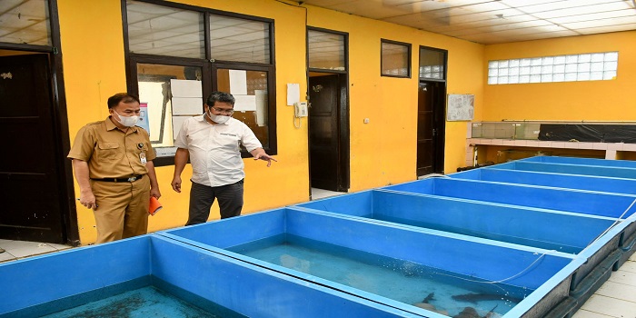 Komisi II DPRD Provinsi Jawa Barat soroti turunnya hasil budidaya bibit perikanan, penurunan jumlah hasil pembibitan tersebut terjadi larena menurunnya pasokan pakan ikan di tengah pandemi covid-19. Hal tersebut diungkapkan Anggota Komisi II DPRD Provinsi Jawa Barat Faizal Hafan Farid saat melakukan kunjungan kerja ke Kantor Cabang Dinas Perikanan dan Kelautan Wilayah Selatan di Singaparna Kabupaten Tasikmalaya, Senin (4/10/2021).