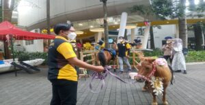 Masa liburan sekolah telah tiba. Sejumlah orang tua tentu ingin membawa anak-anaknya untuk berlibur. Salah satu pilihan yang bisa dicoba yaitu wisata edukasi di Ciwalk Kota Bandung. Di pusat perbelanjaan yang terletak di Jalan Cihampelas ini menyajikan beberapa kandang lengkap dengan hewan-hewan impor. Atraksi ini mulai dibuka sejak 21 Juni hingga 3 Juli mendatang. Di sana terdapat burung makaw, musang, kelinci, keledai, ikan, domba, dan kuda mini. Ketua penyelenggara, Ivan mengungkapkan, tujuan dari pameran hewan yang bertajuk AnimaLand ini adalah sebagai bentuk edukasi.