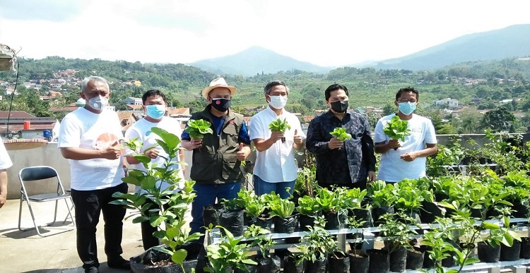 Program Buruan SAE (Sehat Aman dan Ekonomis) yang digagas oleh Pemerintah Kota (Pemkot) Bandung mampu meningkatkan ketahanan dan ekonomi masyarakat. Camat Ujungberung, Jajang Hamdani mengatakan, hasil Buruan SAE warga Kecamatan Ujungberung selain memenuhi kebutuhan dasar warga juga akan disuplai ke BPNT (Bantuan Pangan Non Tunai) untuk pemberdayaan ekonomi masyarakat. “Kita berharap hasil Buruan SAE masuk ke mal-mal, sayuran organik secara kualitas bagus. Dijadikan komuditas dijadikan program BPNT (Bantuan Pangan Non Tunai) ada penyuplainya. Jadi hasil panen Buruan SAE yang kualitasnya bagus harus dibeli,” ujarnya saat ditemui di Kantor Kecamatan Ujungberung, Selasa 12 Juli 2022. "Orientasinya akan dijual ke mal, supermarket karena kualitas bagus. Pasar kecil juga harus diberikan BPNT dengan kualitas sayuran yang bagus tanpa pestisida seiring dengan program pemerintah untuk menuntaskan stunting," lanjutnya.