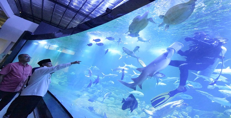 Wakil Gubernur Jawa Barat Uu Ruzhanul Ulum meninjau Aquarium Indonesia Pangandaran di Kabupaten Pangandaran, Senin (30/1/2023). Menurut Pak Uu --sapaan Uu Ruzhanul, Aquarium Indonesia Pangandaran dapat menjadi destinasi wisata menarik sekaligus ruang edukasi anak-anak untuk mengenal biota laut. "Di sini ikan-ikannya sangat hebat-hebat dan besar-besar karena dekat dengan laut. Selain itu, tempatnya terbesar di Indonesia. Sangat indah, sangat menyentuh perasaan," kata Pak Uu.