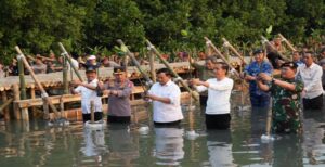 Museum Rekor Indonesia (Muri) memberikan apresiasi kepada Markas Besar Tentara Nasional Indonesia (Mabes TNI) atas prakarsanya menyelenggarakan penanaman 1.169.000 bibit Mangrove secara serentak tersebar di 370 lokasi di seluruh Indonesia pada Senin (15/5/2023). Kegiatan terpusat dilaksanakan di Taman Wisata Alam Angke Kapuk Jakarta Utara dipimpin langsung oleh Presiden RI Ir. H. Joko Widodo bersama para Menteri Kabinet Indonesia Maju, Panglima TNI, Kapolri, anggota TNI-Polri serta komponen masyarakat dan pelajar.