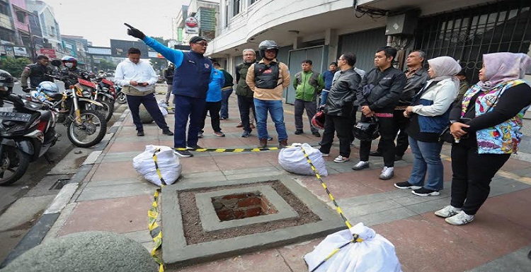 Pemerintah Kota (Pemkot) Bandung sedang menata dan mempercantik kawasan Jalan Sudirman Bandung dengan memperbaiki trotoar dan melakukan penghijauan. Plh Wali Kota Bandung, Ema Sumarna mengatakan, kawasan Sudirman akan ditanami tumbuhan rindang seperti Pohon Pule. Hal ini untuk menambah nilai estetika wilayah tersebut.