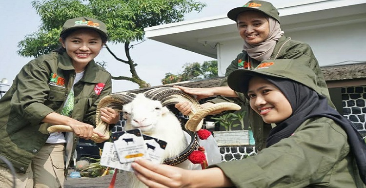 Hadapi Iduladha atau Hari Raya Kurban yang jatuh pada 29 Juni mendatang, Pemerintah Kota (Pemkot) Bandung mengerahkan ratusan anggota Satgas Pemeriksa Hewan Kurban. Mereka terdiri dari 120 petugas antemortem (sebelum pemotongan) dan 163 petugas postmortem (setelah pemotongan). Hal tersebut disampaikan Kepala Dinas Ketahanan Pangan dan Pertanian (DKPP) Kota Bandung, Gin Gin Ginanjar di kantor DKPP, Senin 19 Juni 2023. Tim Satgas Pemeriksa Hewan Kurban antemortem mulai bekerja sejak hari ini sampai H-1 Iduladha. "DKPP memastikan kesehatan dan kelayakan hewan kurban di Kota Bandung. Sebanyak 90 petugas organik DKPP dibantu 15 orang dari Fakultas Kedokteran Hewan Unpad. Kemudian PDHI (Persatuan Dokter Hewan Indonesia) sebanyak 10 orang dan dari Tel-U sebagai pengembang aplikasi e-selamat," papar Gin Gin.