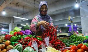 Sudah seminggu lebih harga daging ayam dan cabai masih belum beranjak turun. Kepala Dinas Perdagangan dan Perindustrian (Disdagin) Kota Bandung, Elly Wasliah menyebutkan, harga daging ayam di pasar tradisional mencapai Rp40.000-Rp42.000/kg. "Sedangkan harga cabai rawit Rp40.000-R50.000/kg. Lalu harga cabai tanjung Rp80.000-Rp100.000/kg di pasar tradisional," tutur Elly , Senin 3 Juli 2023. Namun, lain halnya dengan harga daging ayam di toko ritel. Elly mengatakan, harga di toko ritel jauh lebih murah dibandingkan pasar tradisional.