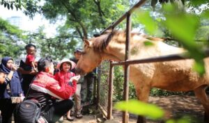 Satwa di Kebun Binatang Bandung dipastikan tetap terpelihara jika Yayasan Taman Margasatwa (YTM) melepas pengelolaannya. Dalam hal ini Pemerintah Kota (Pemkot) Bandung akan bekerja sama dengan Perhimpunan Kebun Binatang Seluruh Indonesia (PKBSI). Hal itu karena Pemkot Bandung tidak memiliki kemampuan untuk mengelola kebun binatang. Hal itu terungkap dalam rapat koordinasi pengamanan lahan aset Kebun Binatang dengan Forum Koordinasi Pimpinan Daerah (Forkopimda) beserta institusi terkait seperti Perhimpunan Kebun Binatang Seluruh Indonesia (PKBSI), Balai Konservasi Sumber Daya Alam, Satuan Kerja Kementerian Lingkungan Hidup di Balai Kota Bandung, Senin 24 Juli 2023.